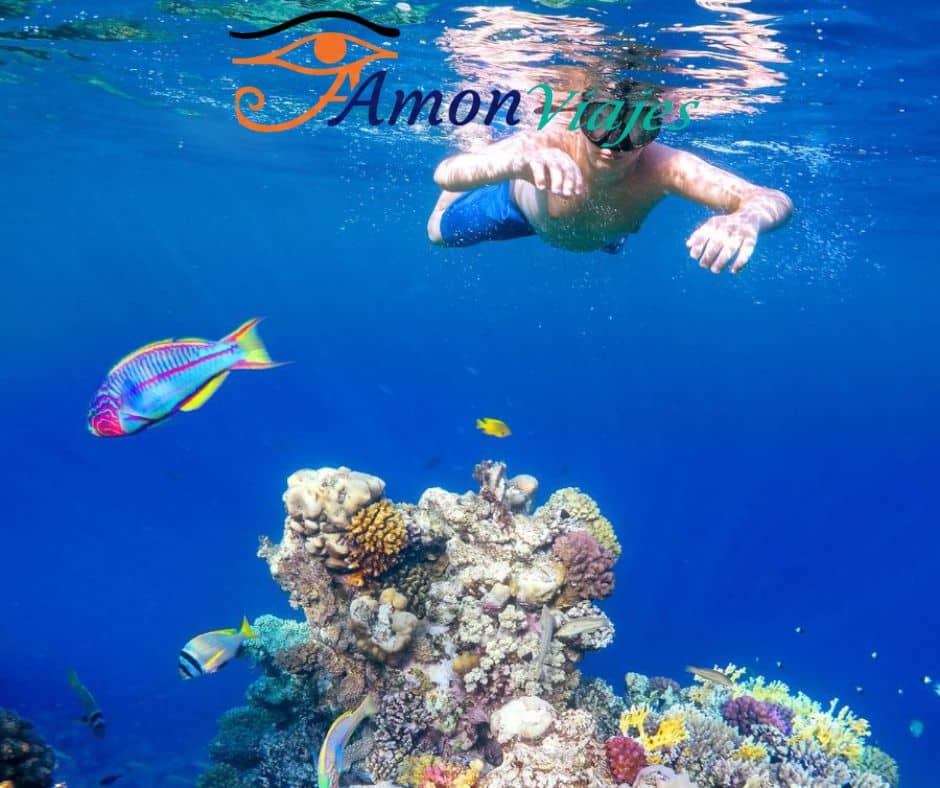 los viajes al mar rojo